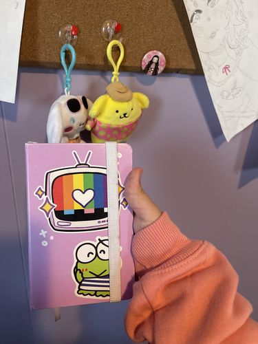 Customer photo review of Rainbow TV Small Sketchbook