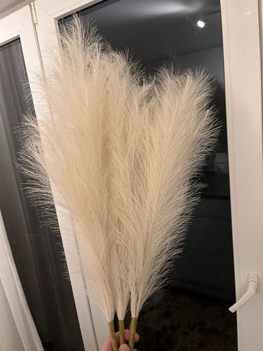 Else A. review of Faux Pampas 110cm (3 stengels)- Beige image 1 out of 1