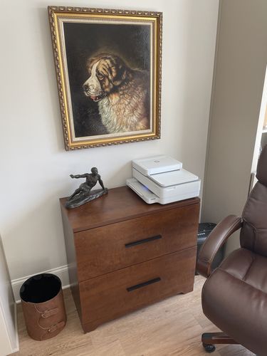Customer photo review of 31.69"W 2 Drawer Wood Lateral File Cabinet/Printer Stand | DEVAISE