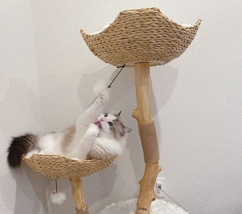 Customer photo review of Michu Selected Real Wood Cat Tree, Large