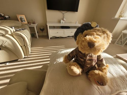Jane review of MTP 6' RAF Beanie Bear image 1 out of 1