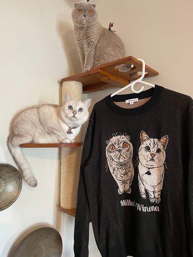 Customer photo review of Portrait Only Pet Custom Sweater