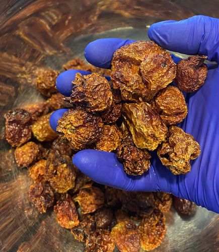 Customer photo review of Trinidad Moruga Scorpion Peppers