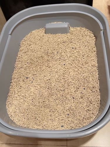 Customer photo review of Michu Mixed Tofu Cat Litter, Heavy Duty Flushable Kitty Litter