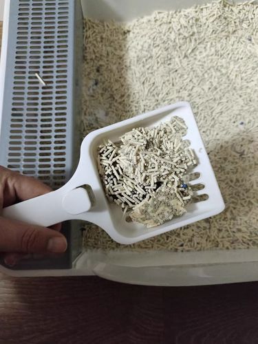 Customer photo review of Michu Mixed Tofu Cat Litter, Heavy Duty Flushable Kitty Litter
