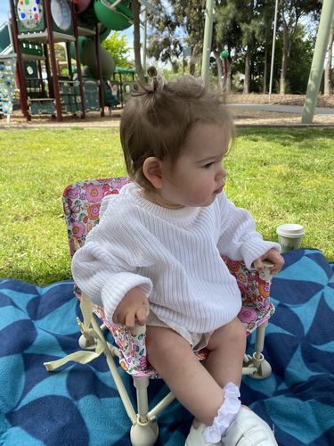 Customer photo review of Paloma baby chair v2