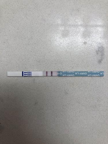 Customer photo review of Ovulation Test Strips