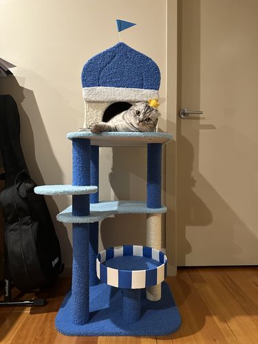 Customer photo review of "Wonderland In The Aegean Sea" Cat Tree Climbing Frame