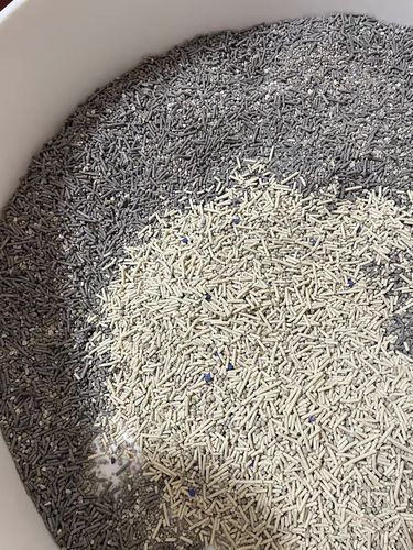 Customer photo review of Michu Mixed Tofu Cat Litter, Heavy Duty Flushable Kitty Litter