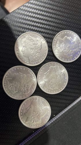 Customer photo review of FREE GIFT | Replica Morgan Coin ×1