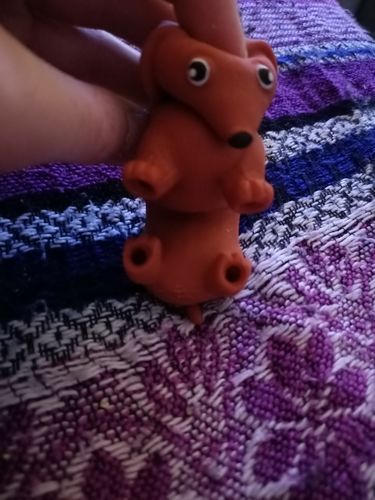 Customer photo review of Stretchy Squishy Dachshund