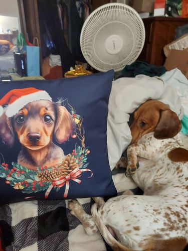 Customer photo review of Dachshund Puppy Wreath Pillows