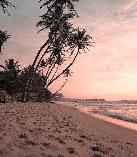 Customer photo review of Complete Higher Quantum Frequency Collection