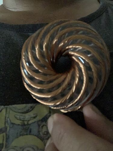 Customer photo review of Qi Coil™ 2 Parasite Detox System with Resonant Console 1