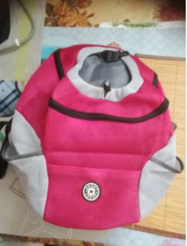 Customer photo review of 🔥LAST DAY 50% OFF🔥2022 Summer Breathable Dog Backpack
