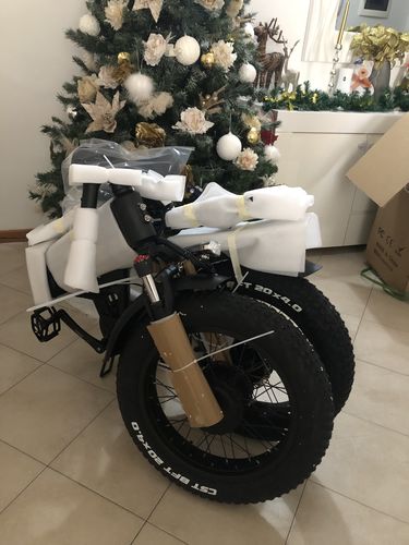 Customer photo review of CMACEWHEEL RX20 Max 750Wx2 20" Fat Bike Dual Motor Foldable E-Mountain Bike 17Ah 45km/h 110km
