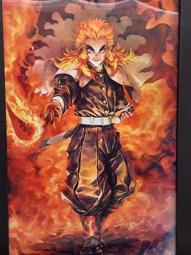 Customer photo review of Demon Slayer Bundle (Black Friday 2022)