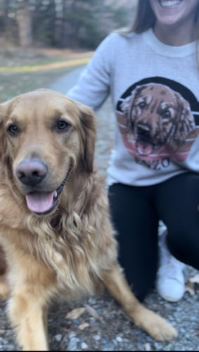 Customer photo review of Pet Portrait with Retro Sunset Background