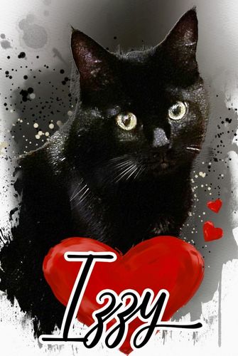 Customer photo review of Dein Liebling - als Aquarell Diamond Painting (eckige Steine)