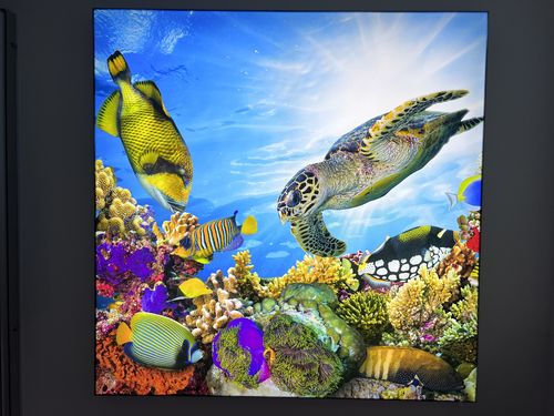 Customer photo review of Leuchtbild | Korallen & Fische | Quadrat