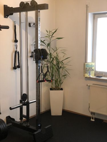 Customer photo review of R8 Pro Pulley Kabelzug | Plate Loaded