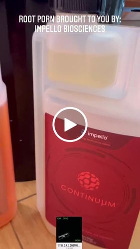 Customer video review of BLACK FRIDAY BOGO SALE!
