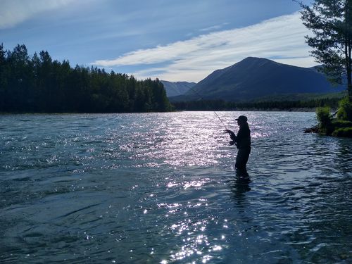 Customer photo review of Silvertip Full Sink Fly Line