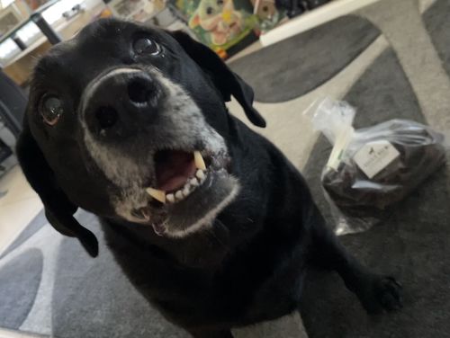 Customer photo review of Kangaroo Jerky