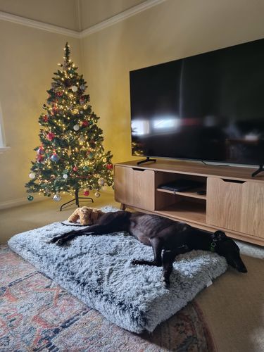 Customer photo review of PaWz Memory Foam Multimat