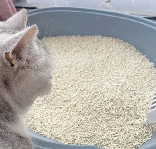 Customer photo review of Michu Natural Clumping Tofu Cat Litter 2.5kg/6L