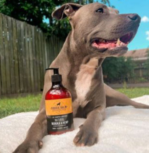 Customer photo review of DoggieBalm Natural Manuka & Hemp Shampoo and Conditioner