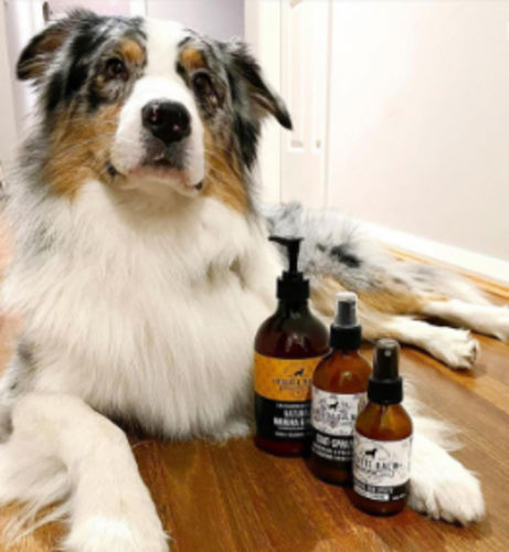 Customer photo review of DoggieBalm Natural Manuka & Hemp Shampoo and Conditioner