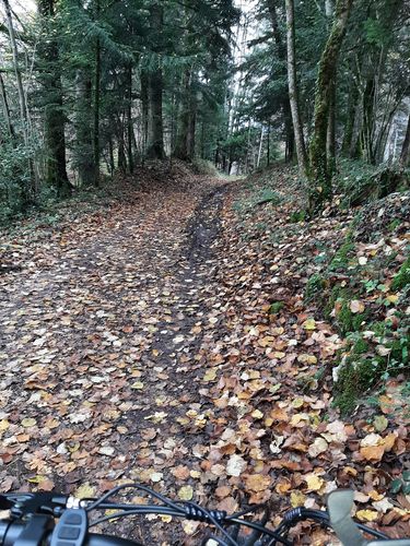 Customer photo review of CM-980 1000w 48v Fat Tire Mountain Bicycle Road Bike Electric Bike