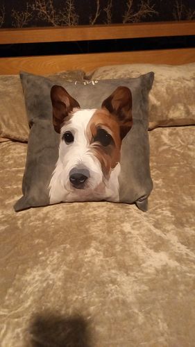 Customer photo review of Modern - Custom Pet Cushion