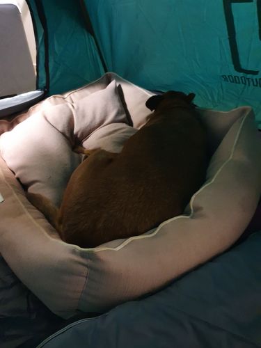 Customer photo review of 3 Secs Tent