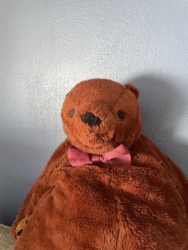 Customer photo review of SKOGGY BEAR