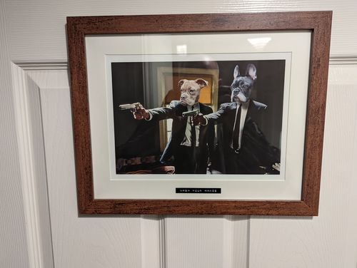Customer photo review of Paw Fiction – Custom Pet Portrait
