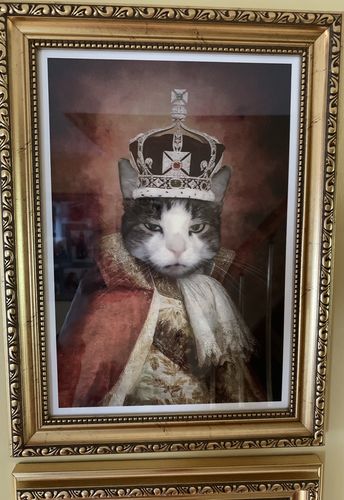 Customer photo review of The King - Custom Vintage Pet Portrait