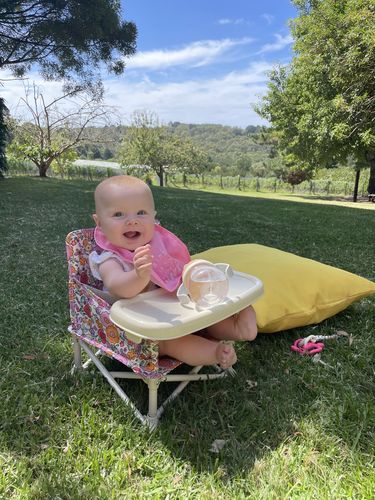 Customer photo review of Paloma baby chair