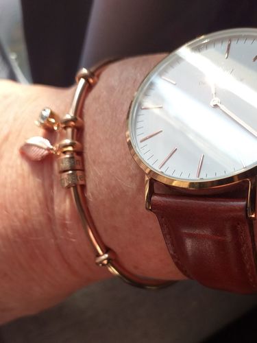 Customer photo review of Bangle Bracelet with Rings