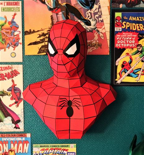 Customer photo review of Patrons Buste Spiderman (pdf)