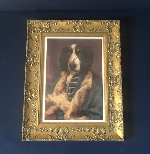 Customer photo review of The Count- Custom Vintage Pet Portrait