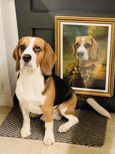 Customer photo review of The General - Custom Vintage Pet Portrait