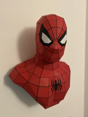 Customer photo review of Patrons Buste Spiderman (pdf)