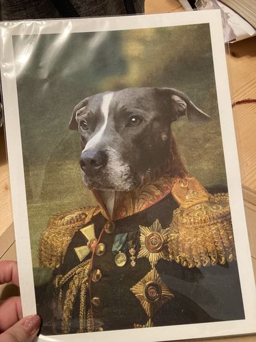 Customer photo review of The General - Custom Vintage Pet Portrait