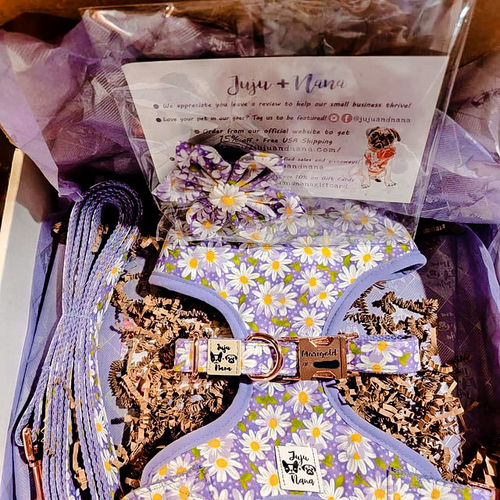 Customer photo review of Purple daisy dog harness set