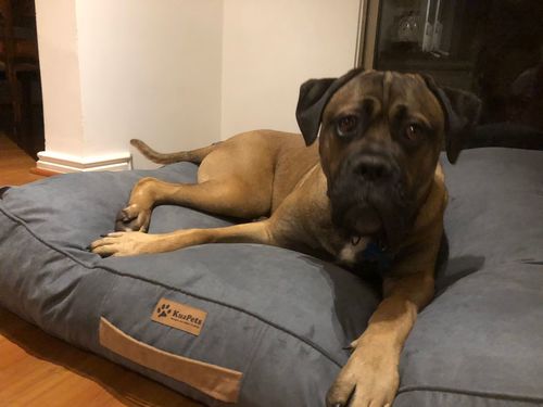 Customer photo review of CAMA ORIGEN GRIS ACERO