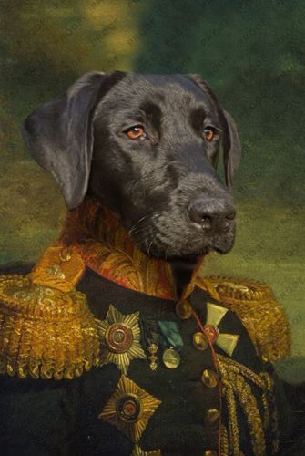 Customer photo review of The General - Custom Vintage Pet Portrait