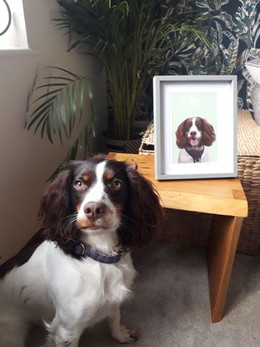 Customer photo review of Modern - Custom Pet Portrait