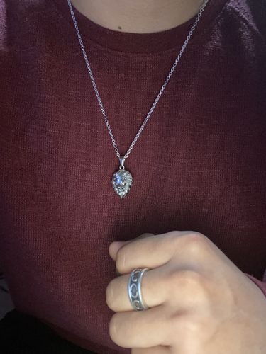 Customer photo review of Lion (Silver)